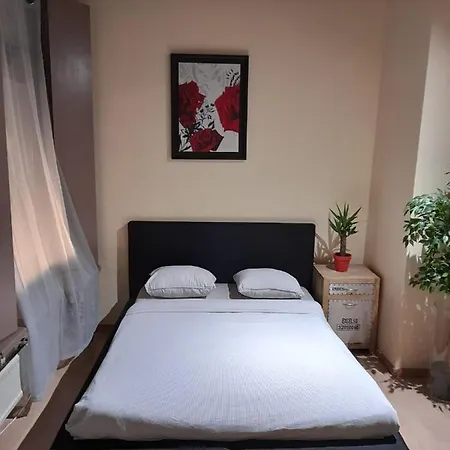 Cute,cosy,comfortable Studio In The Heart Of Apartment *